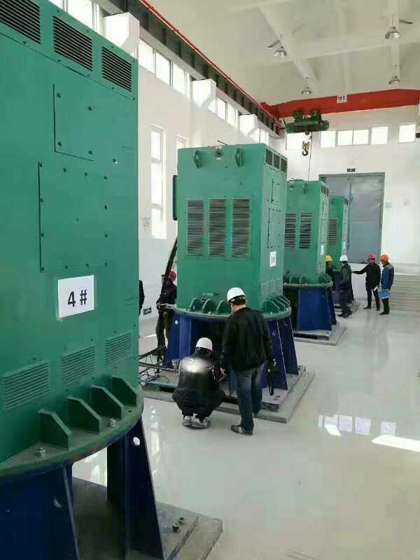 Y5605-12某污水处理厂使用我厂的立式高压电机安装现场