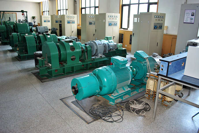 Y5605-12某热电厂使用我厂的YKK高压电机提供动力